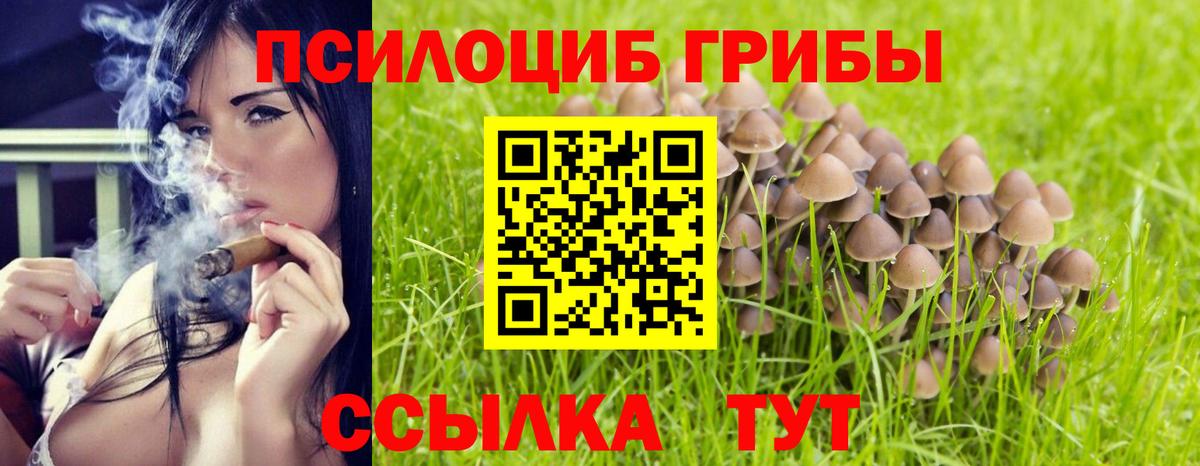 Галлюциногенные грибы мицелий Киров