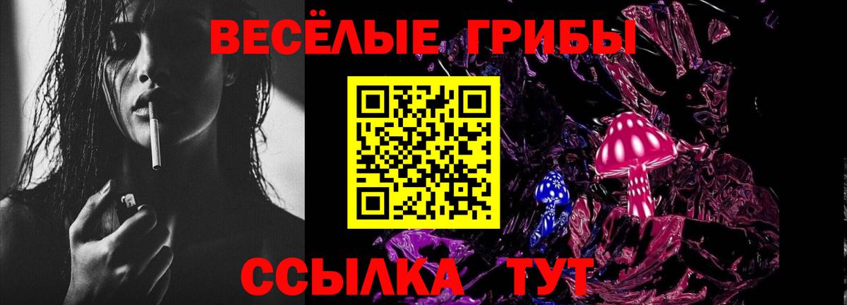 Галлюциногенные грибы MAGIC MUSHROOMS  Вход с VPN  Галлюциногенные грибы прущие грибы  Киров 